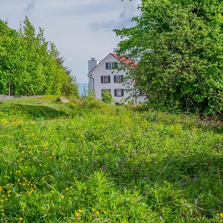 Hochblauen Hotel